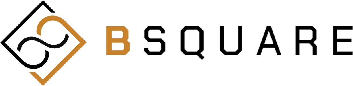 BSQUARE — The Total Home Solution
